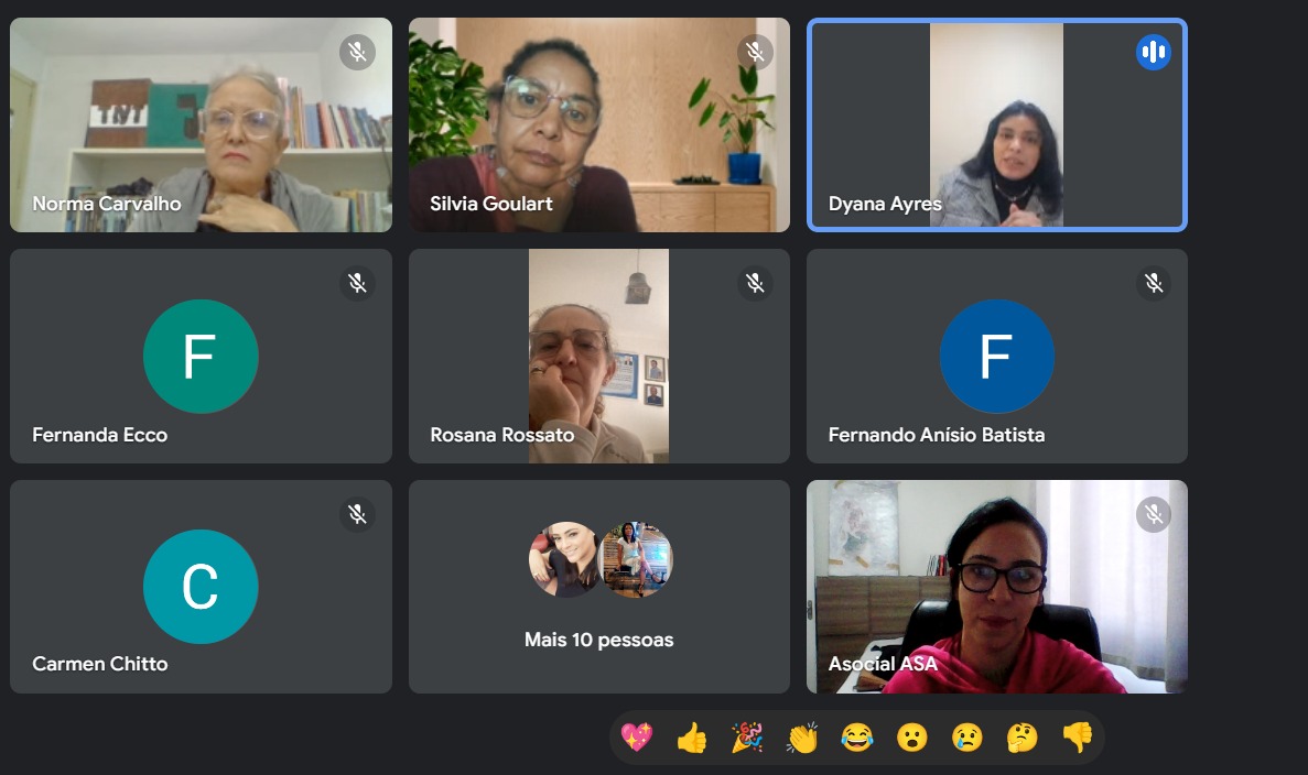 Assistentes Sociais da Rede ASA se reúnem em encontro on-line